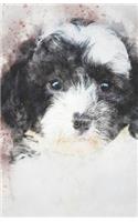 2019-2020 Academic Planner Weekly and Monthly Kindhearted Dog