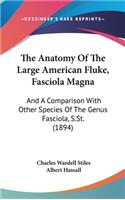 The Anatomy of the Large American Fluke, Fasciola Magna: And a Comparison with Other Species of the Genus Fasciola, S.St. (1894)
