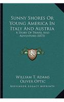 Sunny Shores Or Young America In Italy And Austria