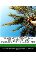 Exploring the Beloved Palm Tree Including Types, Products, and the Rarest Palm