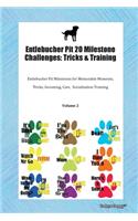 Entlebucher Pit 20 Milestone Challenges: Tricks & Training Entlebucher Pit Milestones for Memorable Moments, Tricks, Grooming, Care, Socialization Training Volume 2