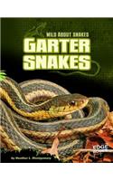 Garter Snakes