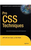 Pro CSS Techniques (Experts Voice)