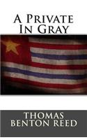 A Private in Gray