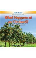 What Happens at an Orchard?