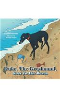 Duke, The Greyhound, Goes To The Beach