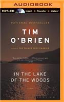 In the Lake of the Woods