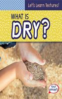 What Is Dry?: (Let's Learn Textures!)