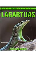 Lagartijas