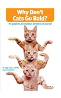 Why Don't Cats Go Bald?: The Questions You'Ve Always Wanted To Ask Your Vet
