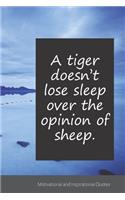 A tiger doesn't lose sleep over the opinion of sheep.