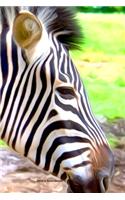 Zebra Notebook