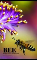 Bee Note Monthly 2020 Planner 12 Month Calendar