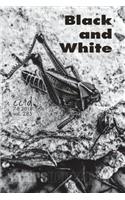 Black and White