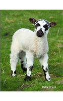 Baby Sheep: Cute Sheep Baby Animals Journal College Ruled Paper Notebook Unique Appreciation, Birthday, Christmas, Back to School Composition Notebook Gift for Students, Friends, Teachers or Artists