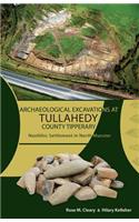 Archaeological Excavations at Tullahedy, County Tipper