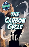 The Carbon Cycle