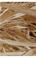 Bamboo Notebook: 150 lined pages, softcover, 6 x 9