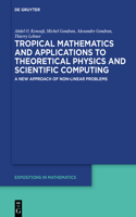 Tropical Mathematics and Applications to Theoretical Physics and Scientific Computing