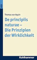 de Principiis Naturae - Die Prinzipien Der Wirklichkeit. Bond