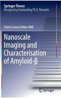 Nanoscale Imaging and Characterisation of Amyloid-β