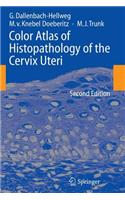 Color Atlas of Histopathology of the Cervix Uteri