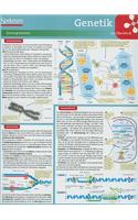 Genetik Im Berblick