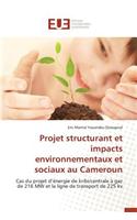 Projet Structurant Et Impacts Environnementaux Et Sociaux Au Cameroun