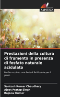 Prestazioni della coltura di frumento in presenza di fosfato naturale acidulato