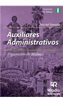 Auxiliares Administrativos de La Diputacion de Malaga. Test del Temario