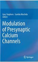 Modulation of Presynaptic Calcium Channels