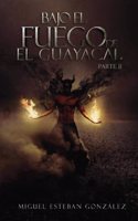 Bajo el fuego de El Guayacal 2