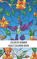 Color By Number Adult Coloring Book