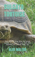 Sulcata Tortoise