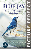 Blue Jay: Picture Perfect Photo Book