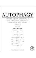 Autophagy: Cancer, Other Pathologies, Inflammation, Immunity, Infection, and Aging