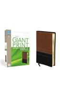 NIV, Giant Print Compact Bible, Giant Print, Leathersoft, Brown/Black