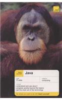 Teach Yourself Java New Edition