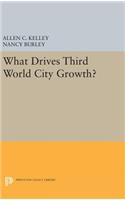 What Drives Third World City Growth?