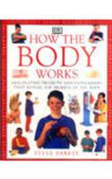 How Body Works
