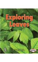 Exploring Leaves: (First Step Nonfiction — Let's Look at Plants)