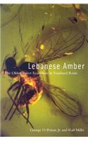 Lebanese Amber