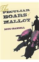 The Peculiar Boars of Malloy