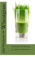 Wheatgrass