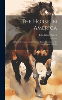 Horse in America