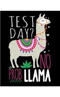 Test Day? No Prob Llama: Teacher Planner Organizer Notebook