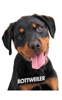 Rottweiler: Puppy - 2020 Weekly Calendar - 12 Months - 107 pages 8.5 x 11 in. - Planner - Diary - Organizer - Agenda - Appointment - Half Spread Wide Ruled Page