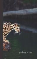 fishing ocelot