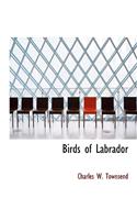 Birds of Labrador