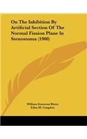 On The Inhibition By Artificial Section Of The Normal Fission Plane In Stenostoma (1900)